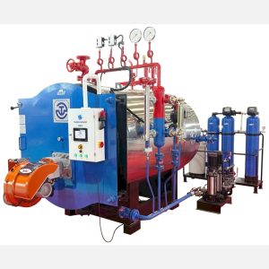TSG1000 TERMOSTEAM BUHAR KAZANI ( 1000KGH)